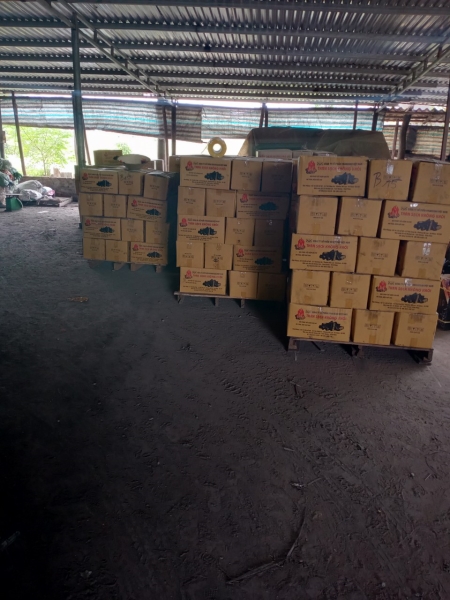 Hình ảnh nhà xưởng